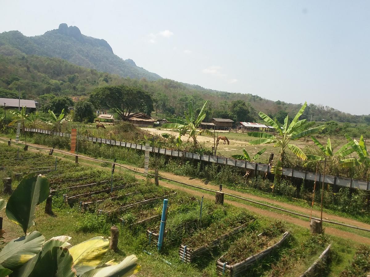 Ban Sop Pan Him Doy Muang Pan Resort ฮิมดอยเมืองปานรีสอร์ท מראה חיצוני תמונה
